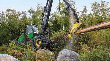 John Deere forestry harvester in the woods with a tree in the grapple.